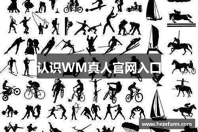 认识WM真人官网入口